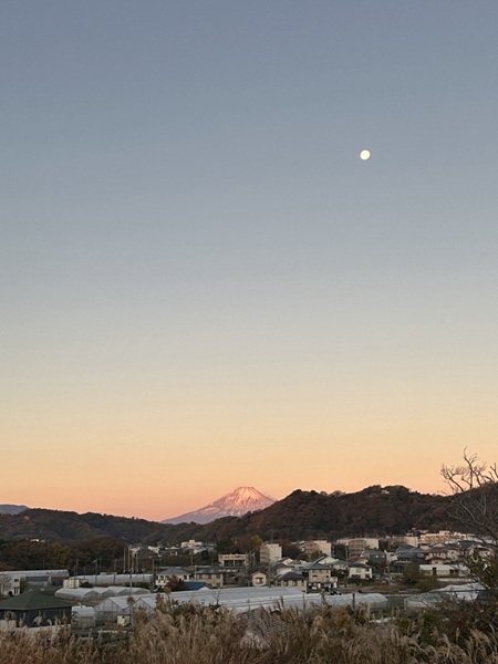 ブログ　リフレッシュ