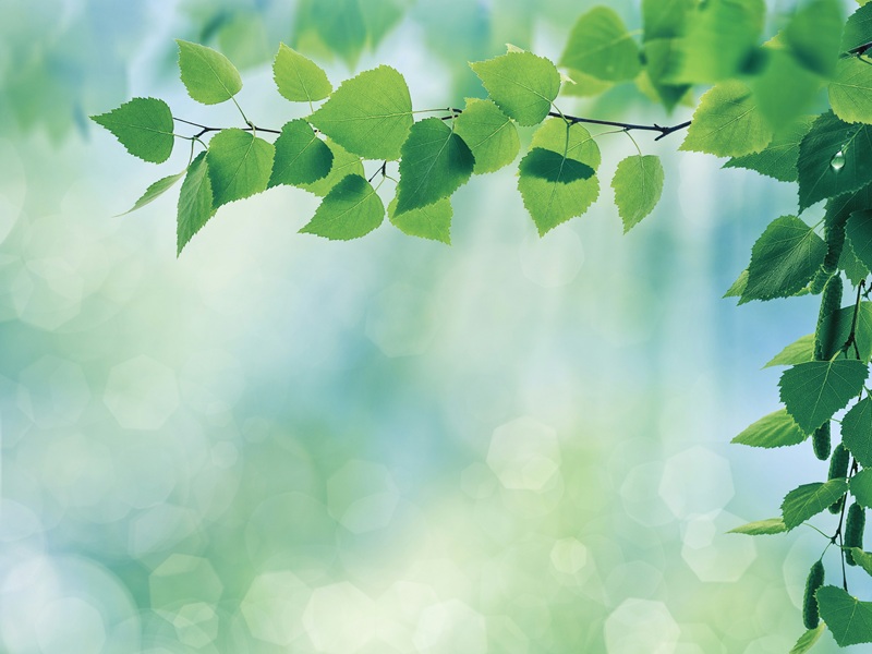 サステナブルなオフィス設計とは？